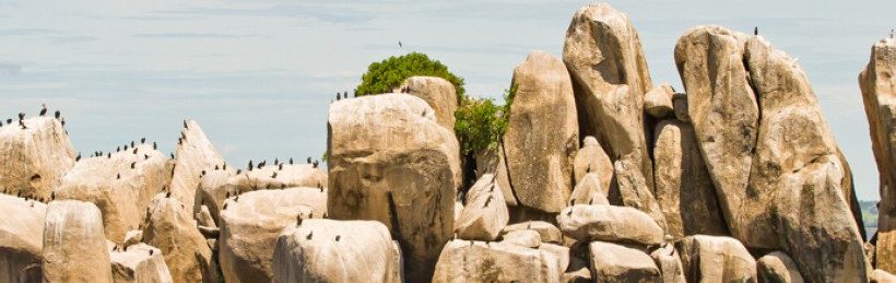 3-Day Boating Lake Victoria, Saanane Island & Serengeti