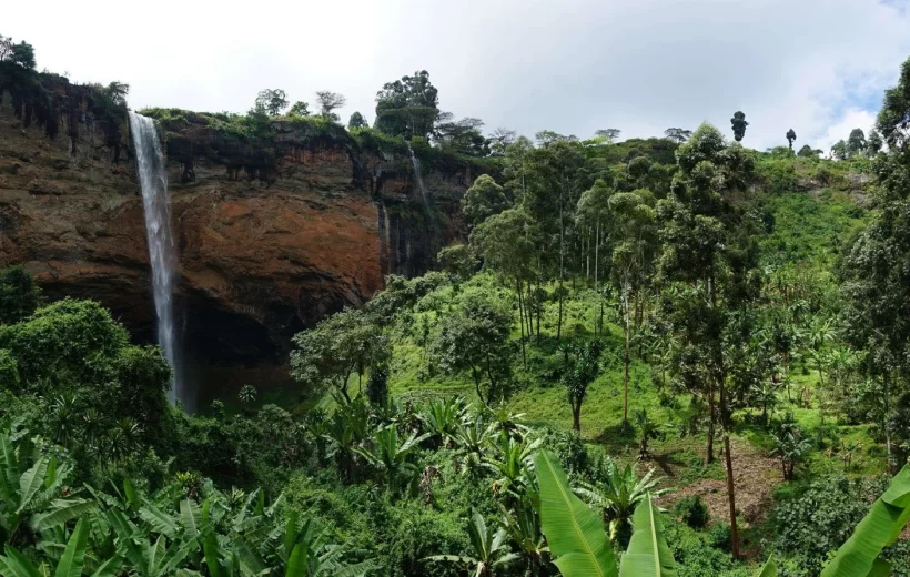 Tour the Tropical Rainforest of Mt. Elgon, Uganda.