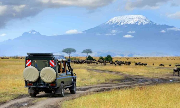 Take a Safari in the Serengeti, Tanzania