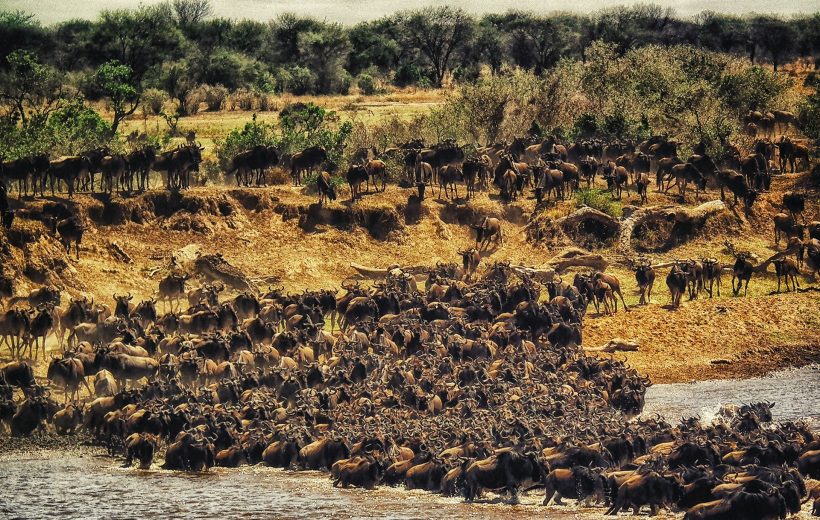 3 Days 2 Nights Nature of Maasai Mara Safari