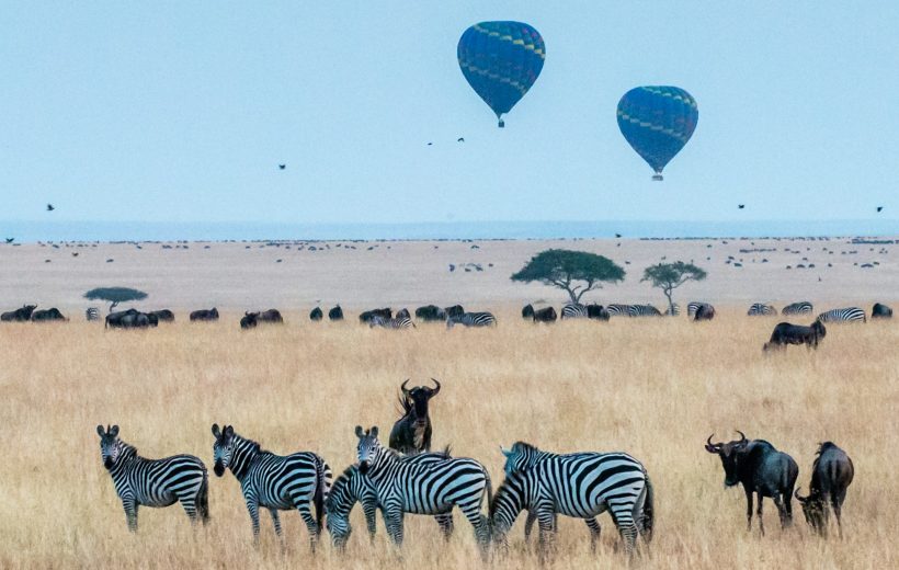 4-Day Maasai Culture And Mara Wildlife